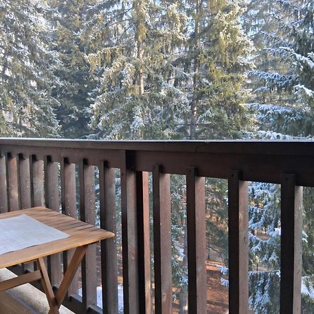 Bendida Park Apartman Velingrad Kültér fotó